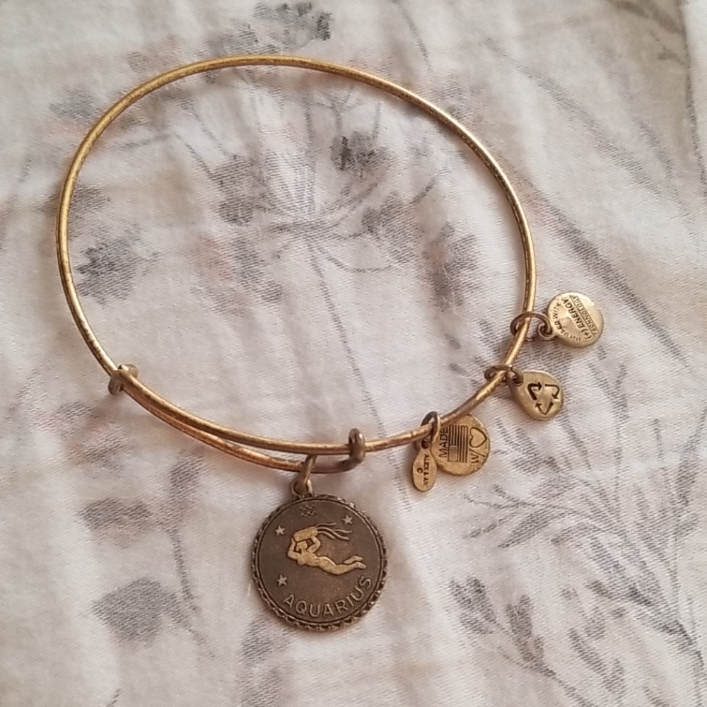 Alex and Ani Aquarius bracelet
